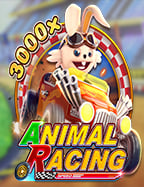 เคล็ดลับเซียน: วิธี แทง บอล ใน เว็บ ง่ายๆ ไม่ยากเกินฝัน